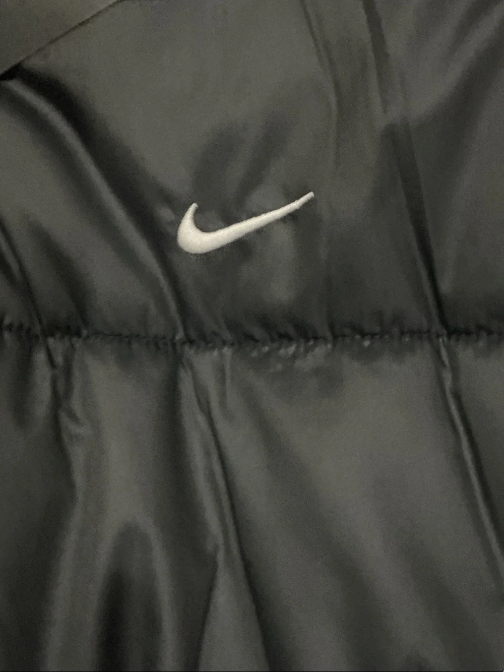 Nike Black Hooded Quilted Puffer Coat FZ5901-010